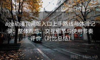 age动漫官网版入口上手路线与体验记录：整体观感、交互细节与使用节奏评价（对比总结）