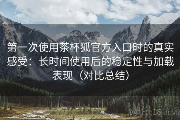 第一次使用茶杯狐官方入口时的真实感受：长时间使用后的稳定性与加载表现（对比总结）