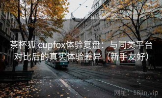 茶杯狐 cupfox体验复盘：与同类平台对比后的真实体验差异（新手友好）