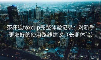 茶杯狐foxcup完整体验记录：对新手更友好的使用路线建议（长期体验）