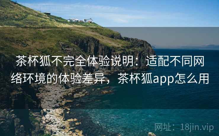 茶杯狐不完全体验说明：适配不同网络环境的体验差异，茶杯狐app怎么用