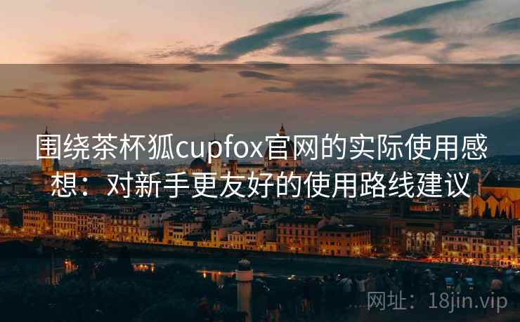 围绕茶杯狐cupfox官网的实际使用感想：对新手更友好的使用路线建议